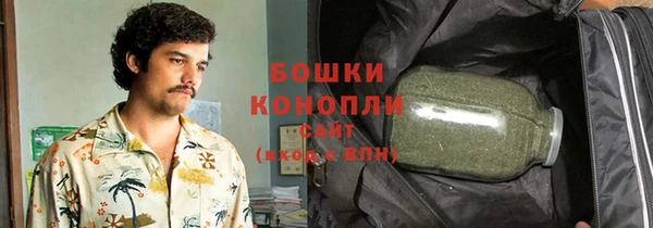 гидропоника Алзамай