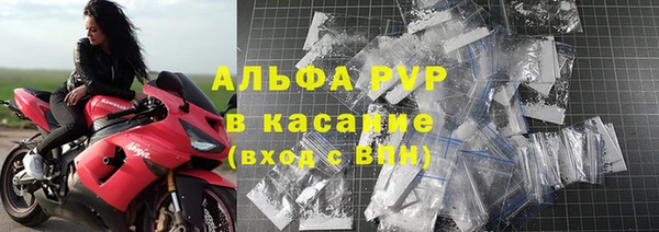 шишки Абинск