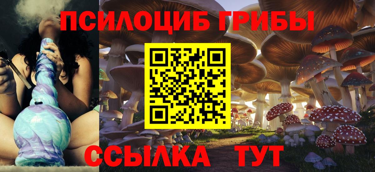 Зеленокумск  Псилоцибиновые грибы мицелий  Вход с VPN 